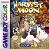 Play <b>Harvest Moon GBC 2</b> Online